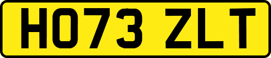 HO73ZLT