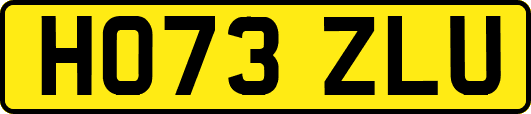 HO73ZLU