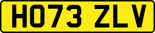 HO73ZLV