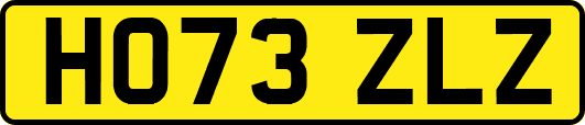 HO73ZLZ