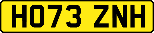 HO73ZNH