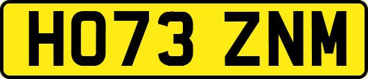 HO73ZNM