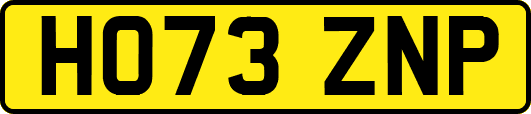 HO73ZNP
