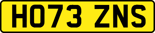 HO73ZNS