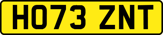 HO73ZNT