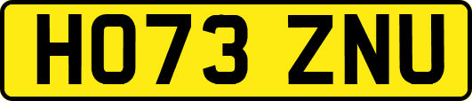 HO73ZNU