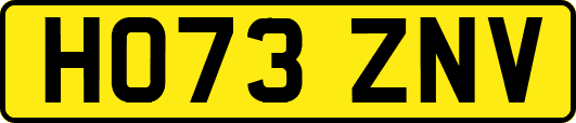 HO73ZNV