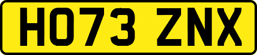 HO73ZNX
