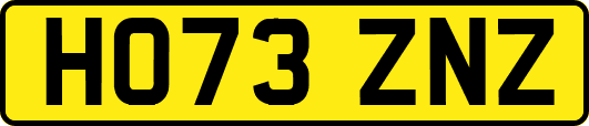 HO73ZNZ