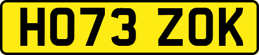 HO73ZOK