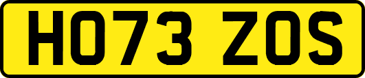HO73ZOS