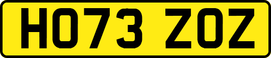 HO73ZOZ