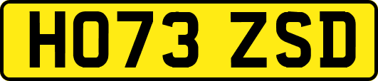 HO73ZSD