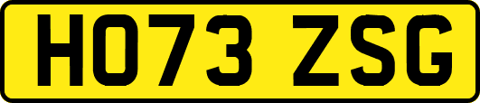 HO73ZSG