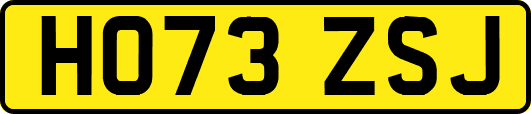 HO73ZSJ