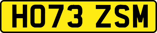 HO73ZSM