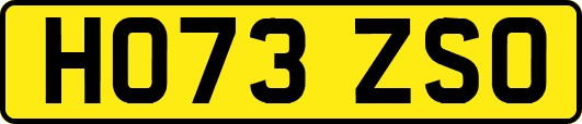 HO73ZSO