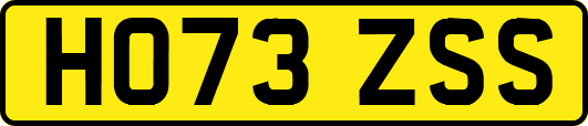 HO73ZSS