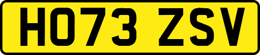 HO73ZSV