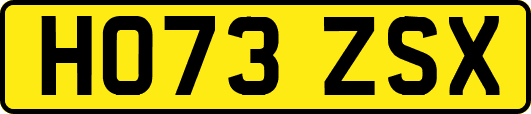 HO73ZSX