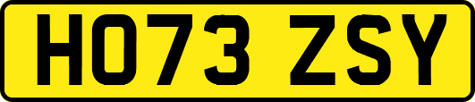 HO73ZSY