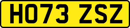HO73ZSZ