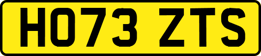 HO73ZTS