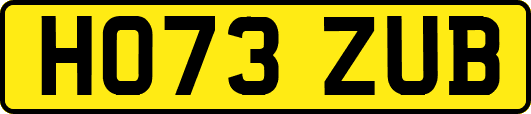 HO73ZUB