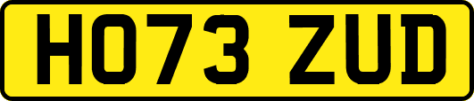 HO73ZUD