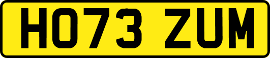 HO73ZUM