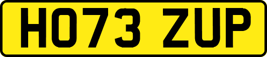HO73ZUP