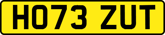 HO73ZUT