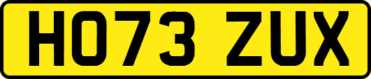 HO73ZUX