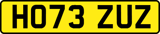 HO73ZUZ