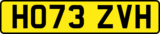 HO73ZVH