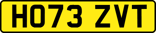 HO73ZVT
