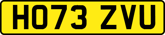HO73ZVU