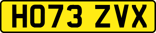 HO73ZVX
