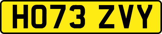 HO73ZVY