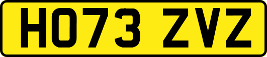 HO73ZVZ