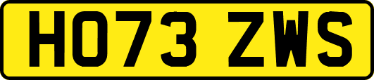 HO73ZWS