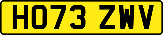 HO73ZWV
