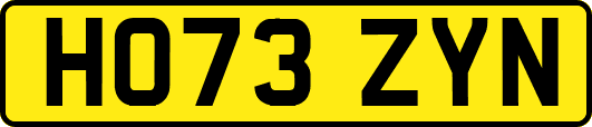 HO73ZYN