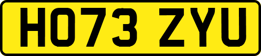 HO73ZYU