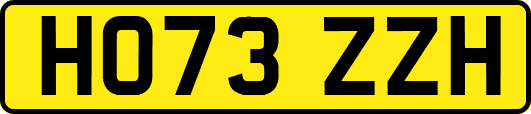 HO73ZZH
