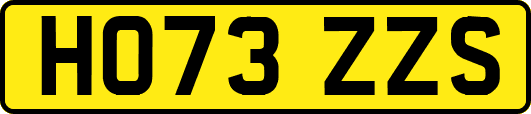 HO73ZZS