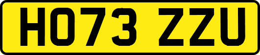 HO73ZZU
