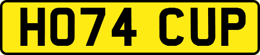 HO74CUP