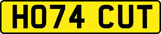 HO74CUT