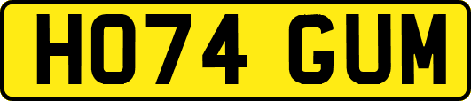HO74GUM